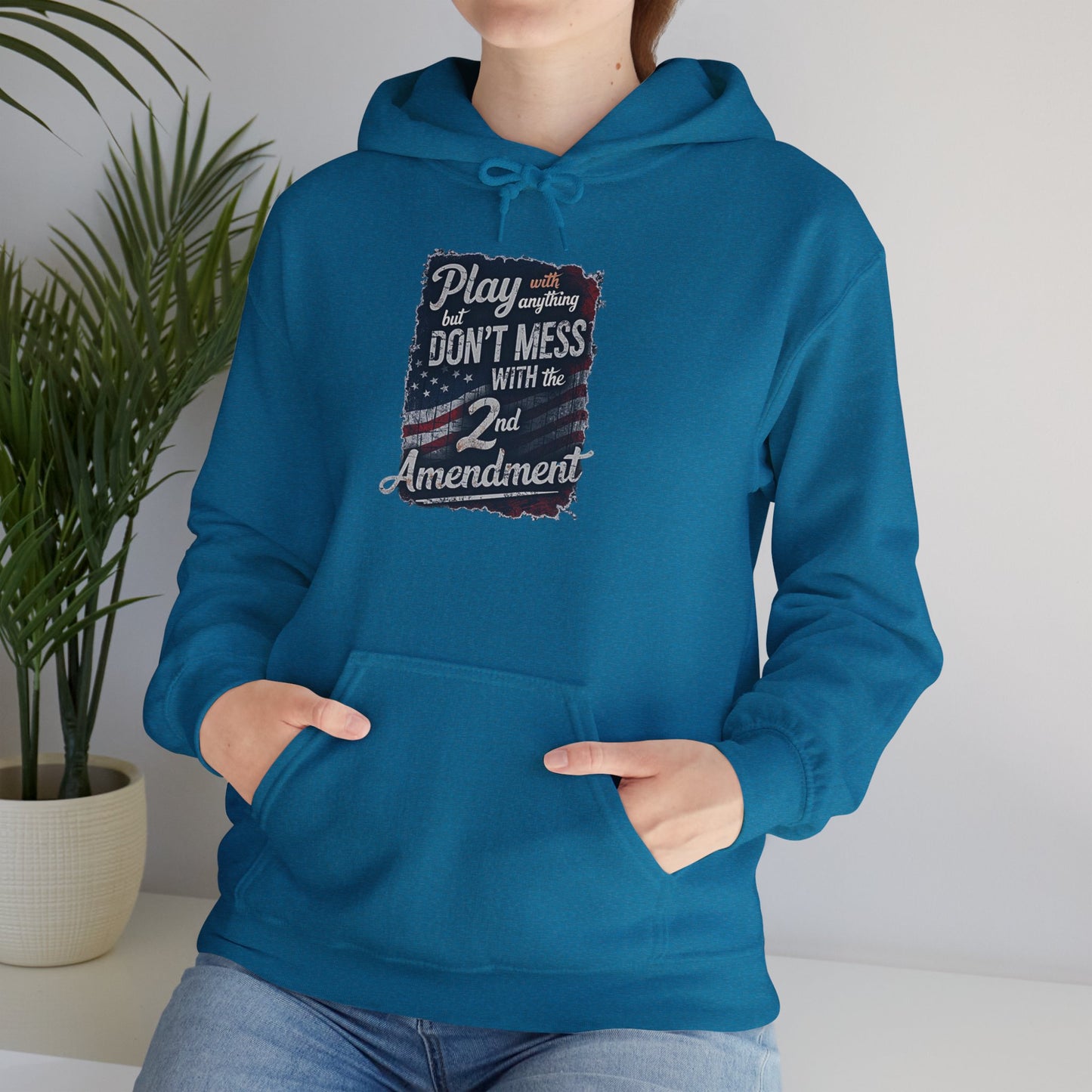 Don't Mess with the 2nd Amendment Patriotic Hoodie