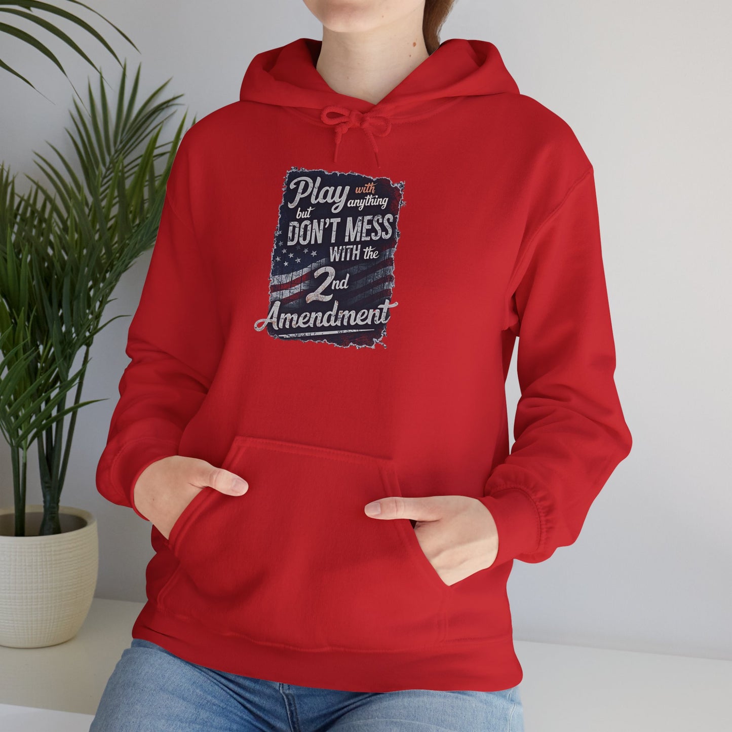 Don't Mess with the 2nd Amendment Patriotic Hoodie