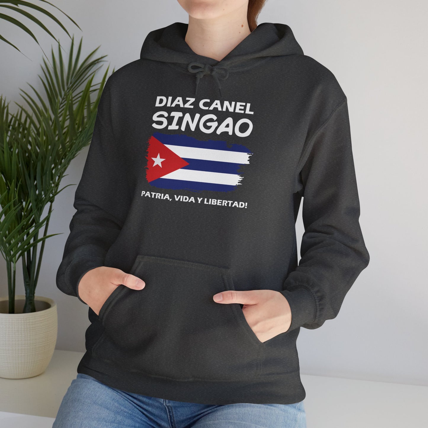 Díaz Canel Singao Patriótico Hoodie