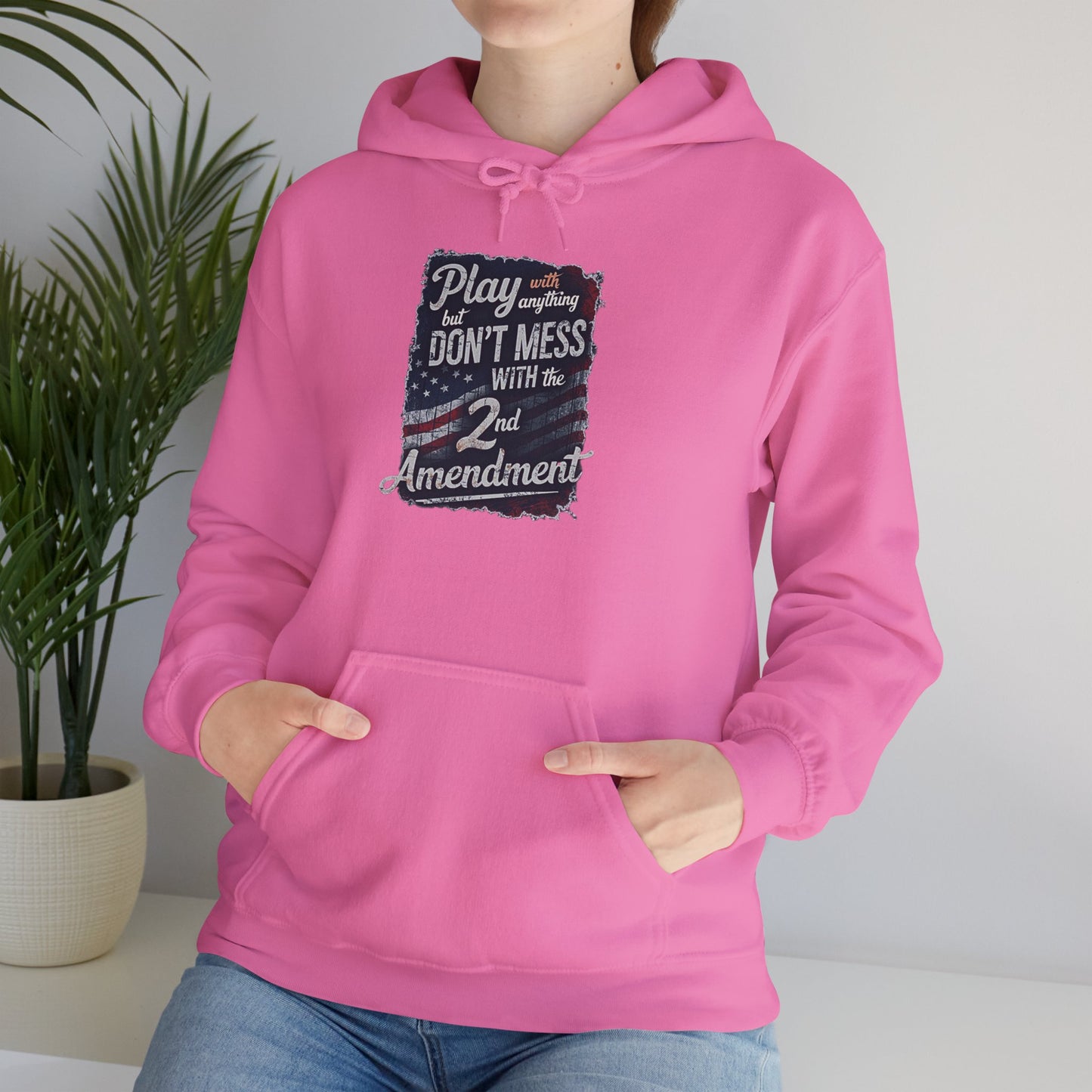 Don't Mess with the 2nd Amendment Patriotic Hoodie
