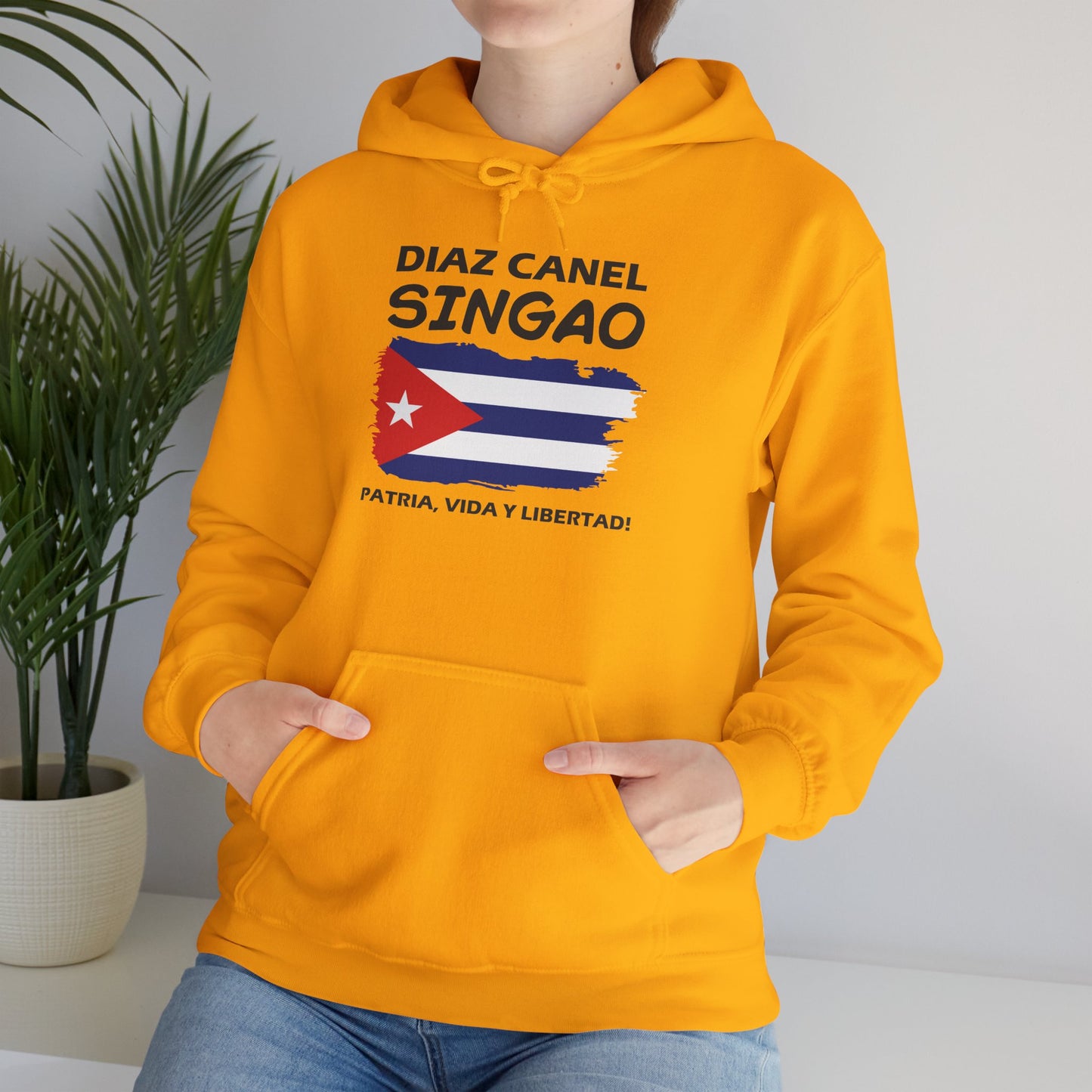Díaz Canel Singao Patriótico Hoodie