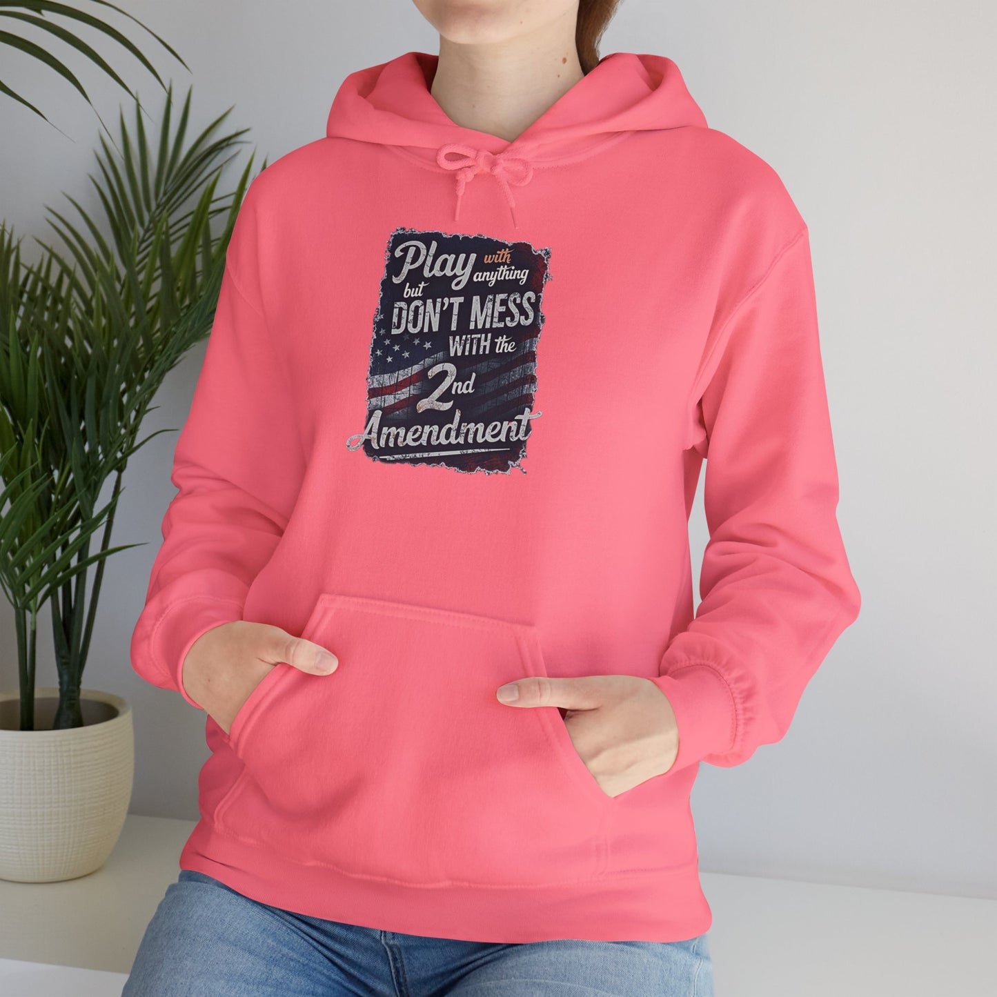 Don't Mess with the 2nd Amendment Patriotic Hoodie