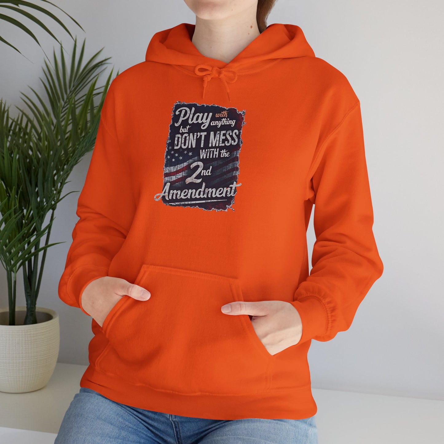 Don't Mess with the 2nd Amendment Patriotic Hoodie