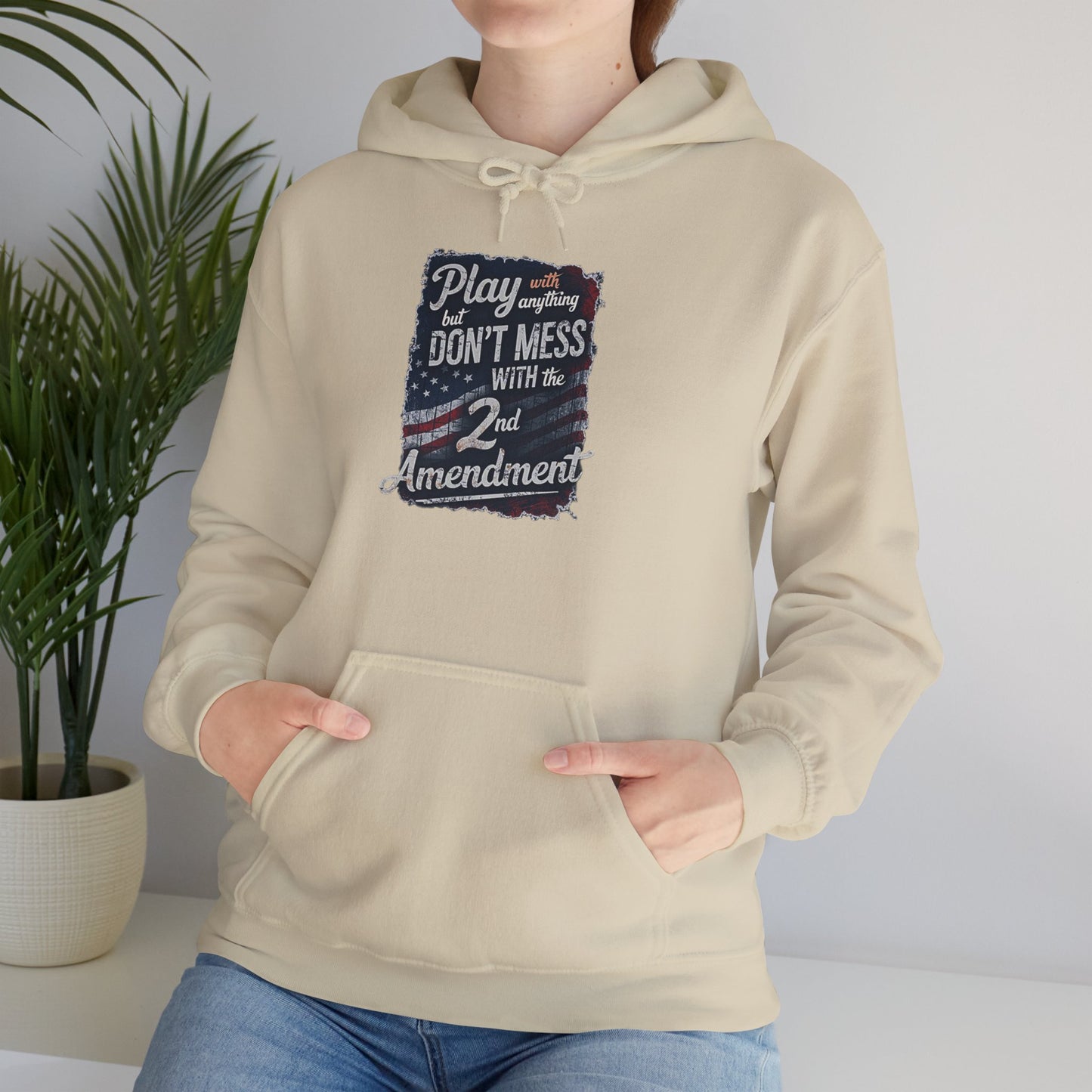 Don't Mess with the 2nd Amendment Patriotic Hoodie