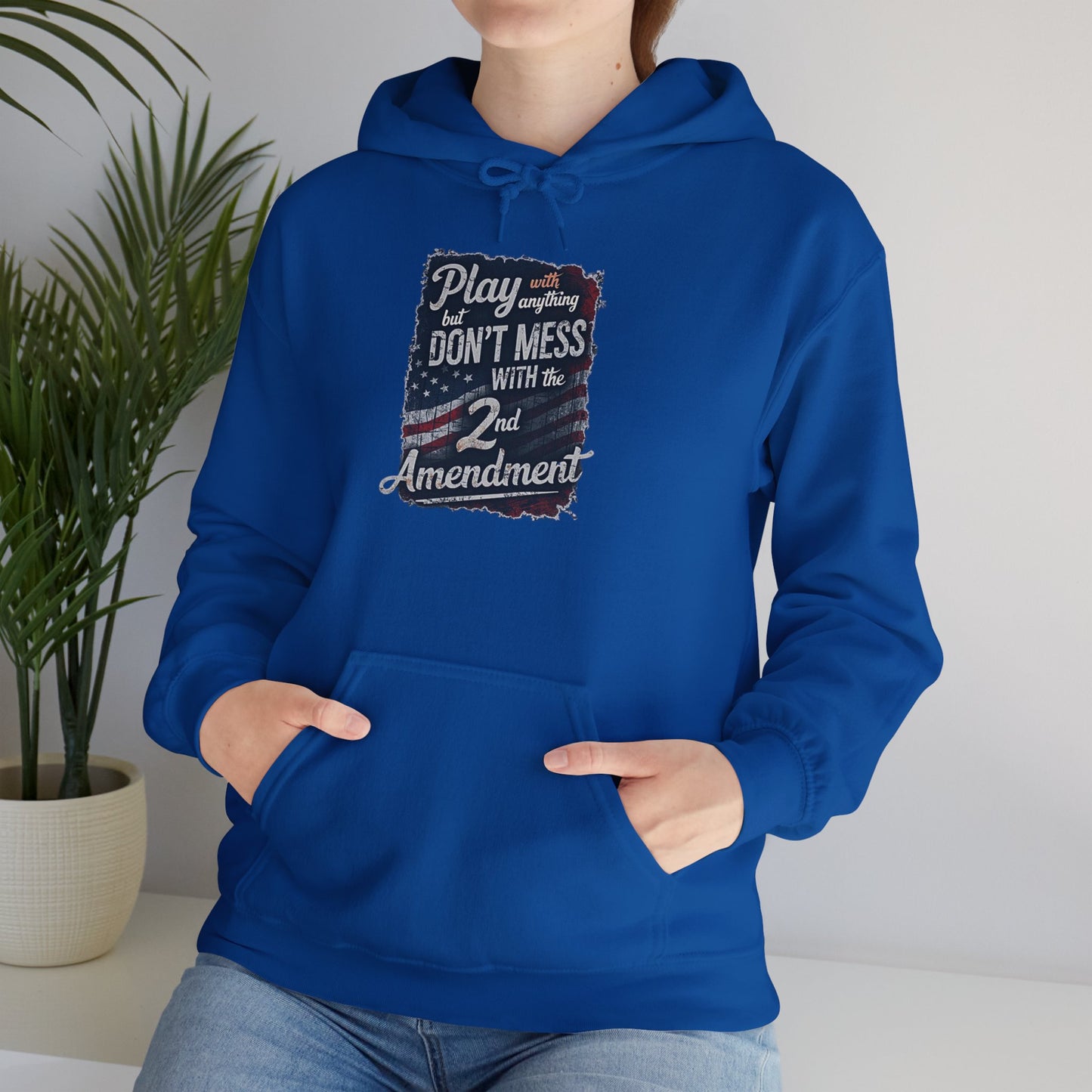 Don't Mess with the 2nd Amendment Patriotic Hoodie
