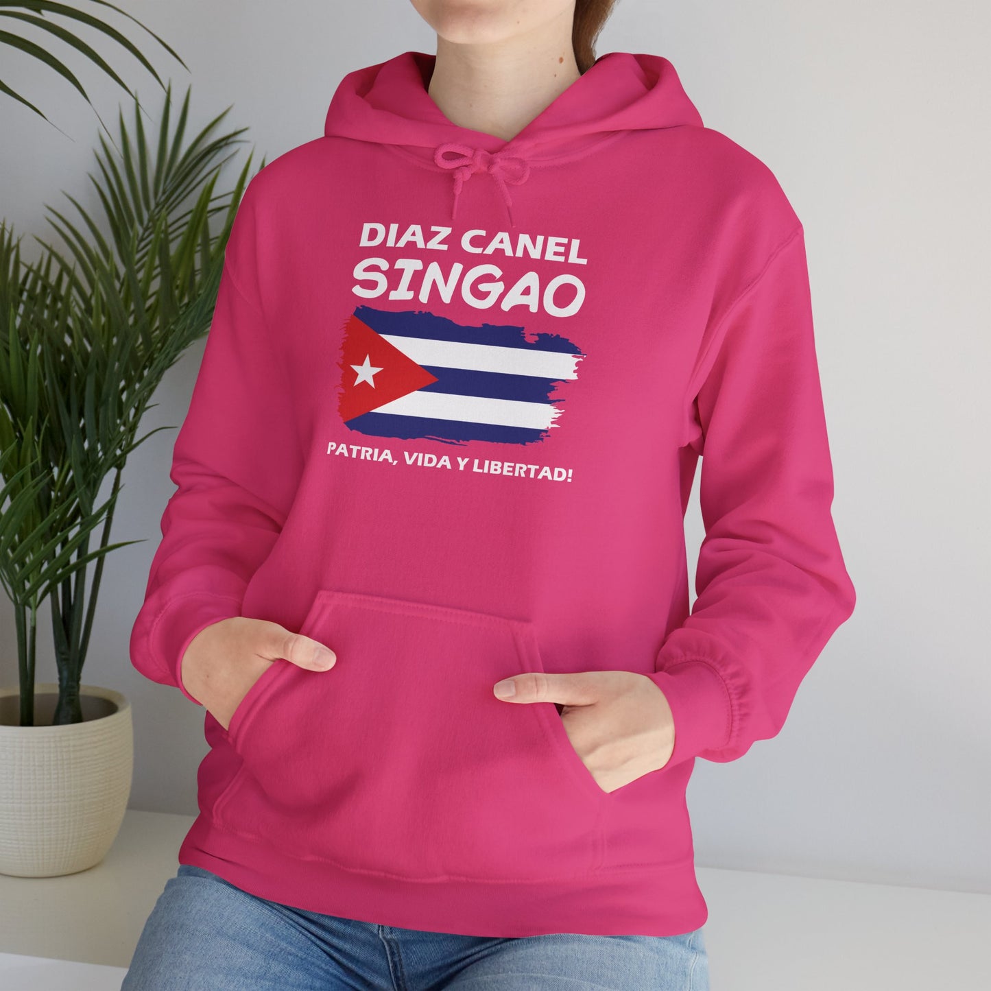 Díaz Canel Singao Patriótico Hoodie
