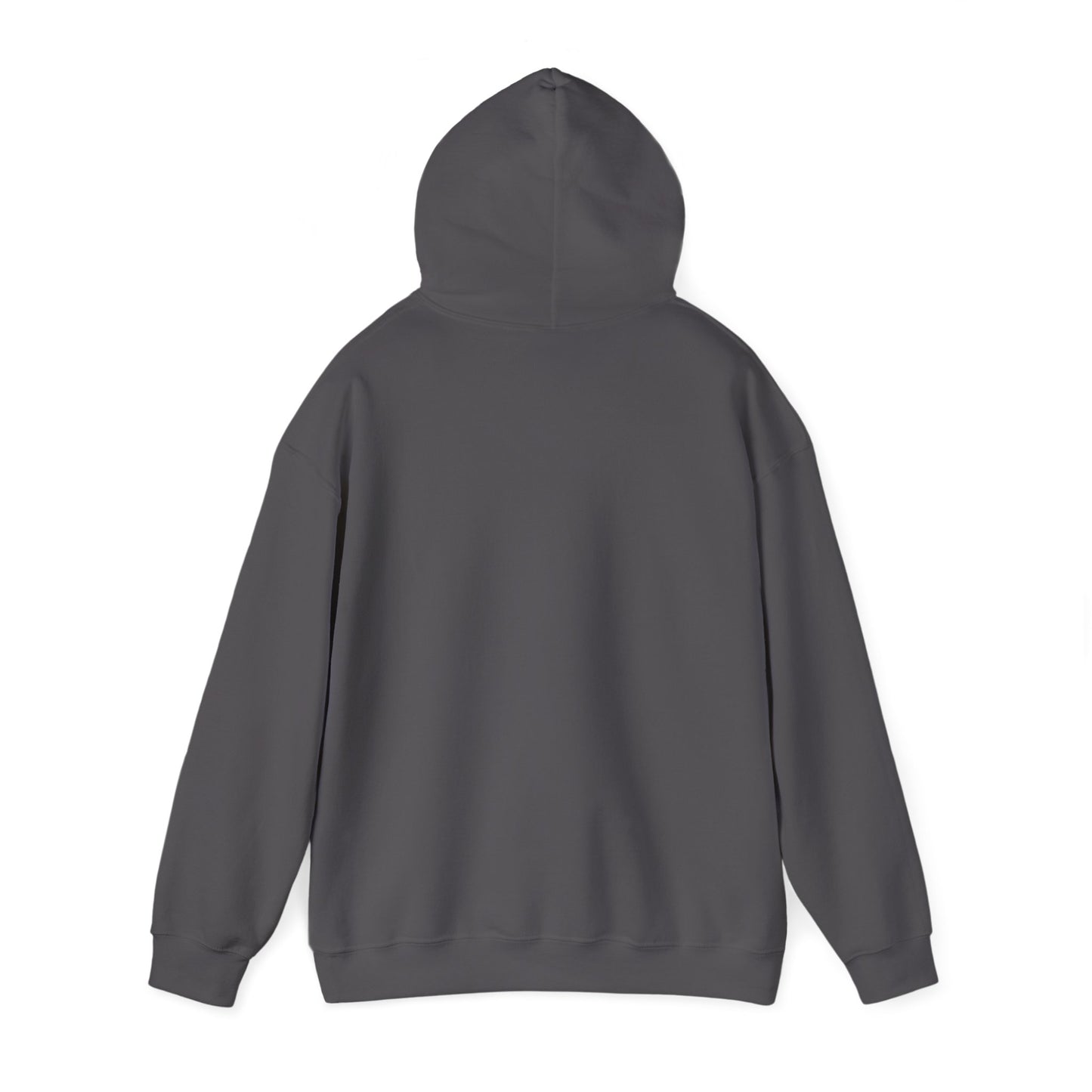 This Is My House Patriotic Hooded Sweatshirt