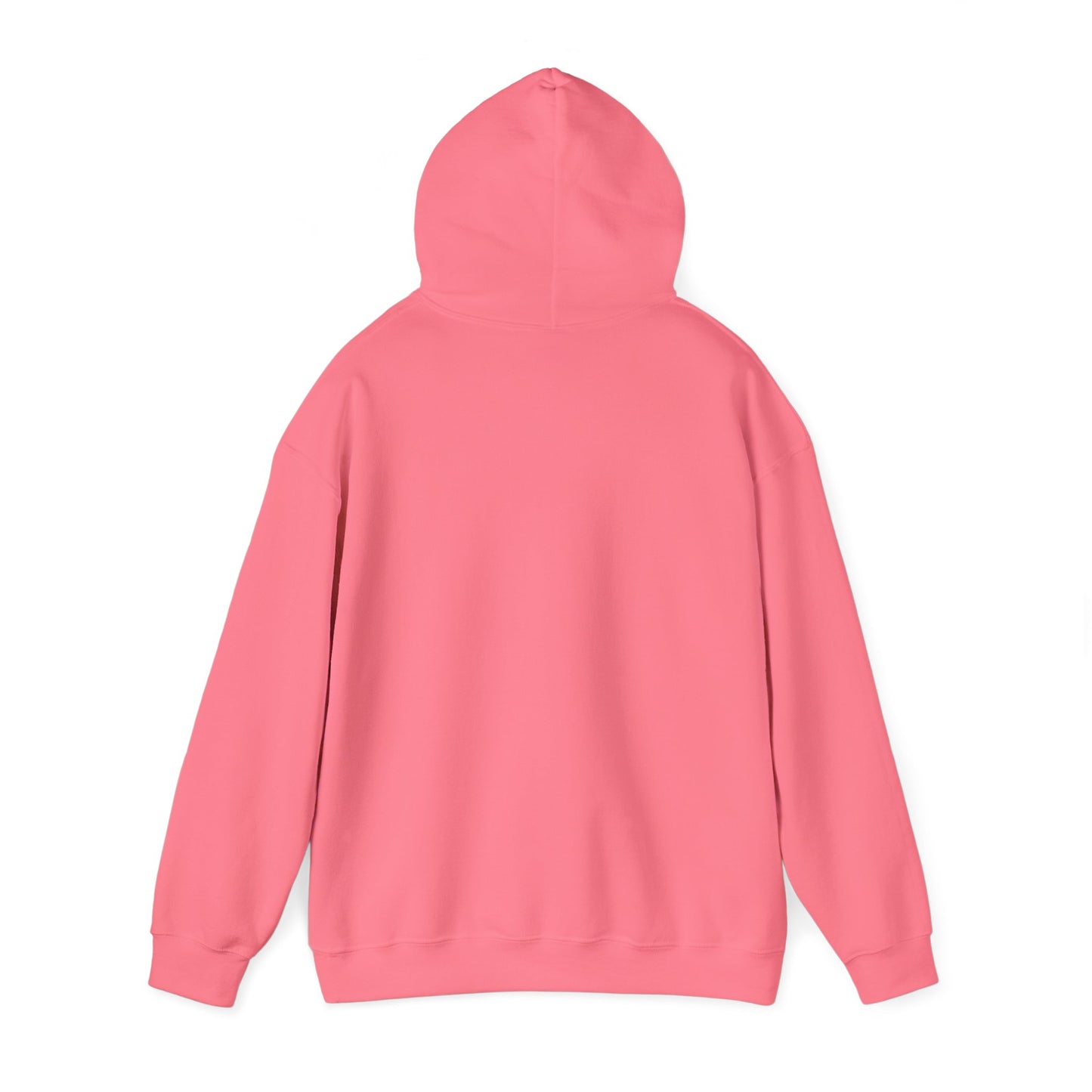 Democ-Rat Funny Political Hoodie