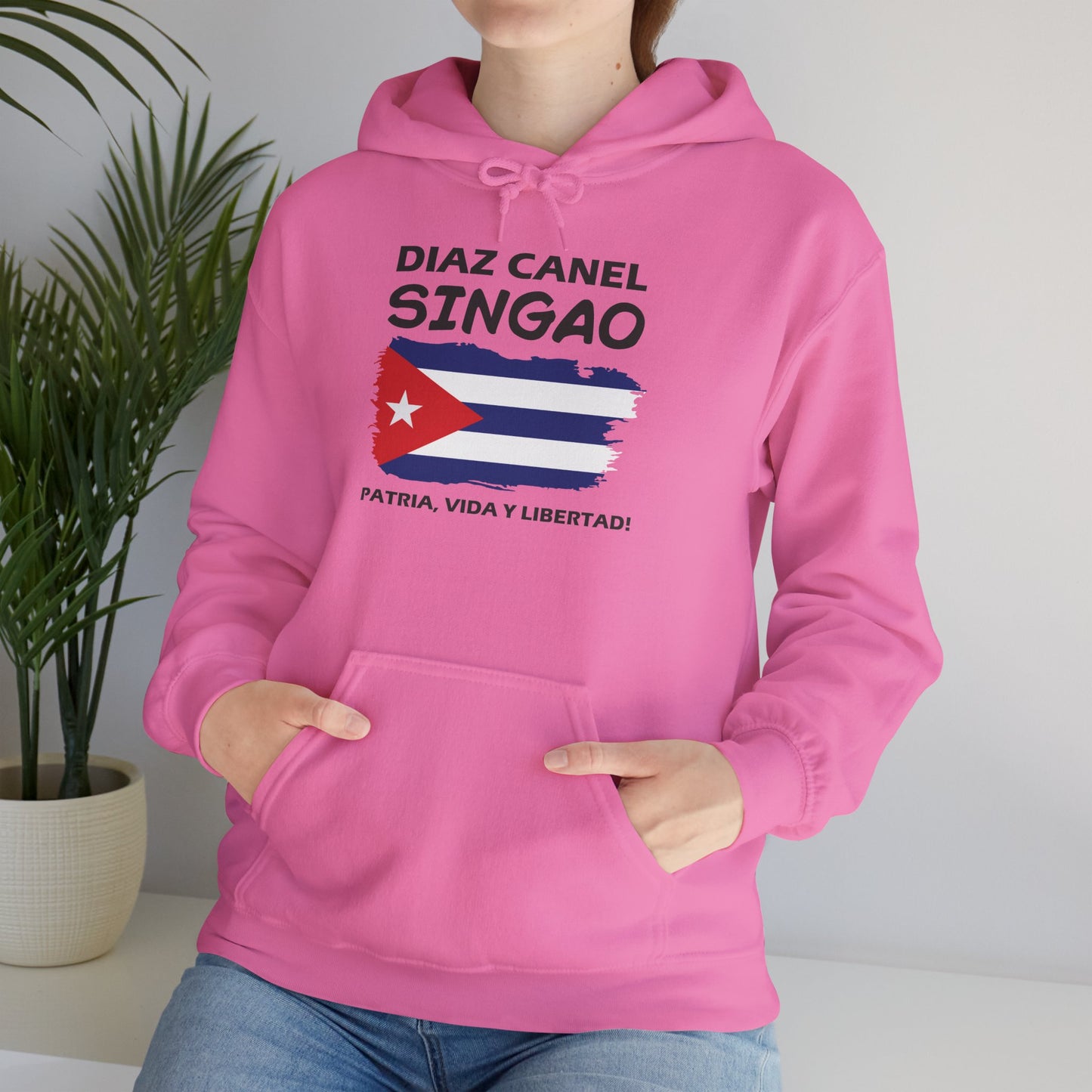 Díaz Canel Singao Patriótico Hoodie