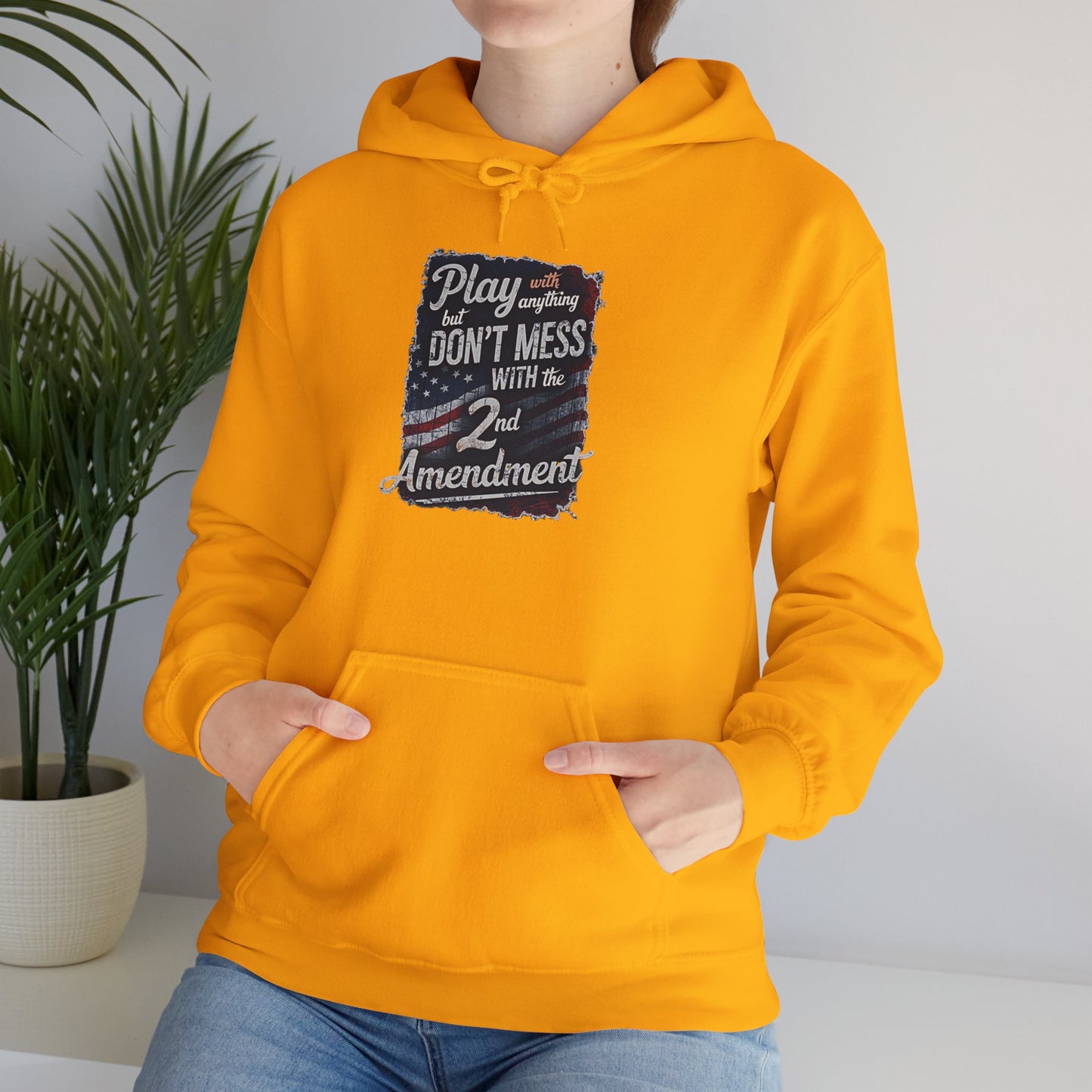 Don't Mess with the 2nd Amendment Patriotic Hoodie