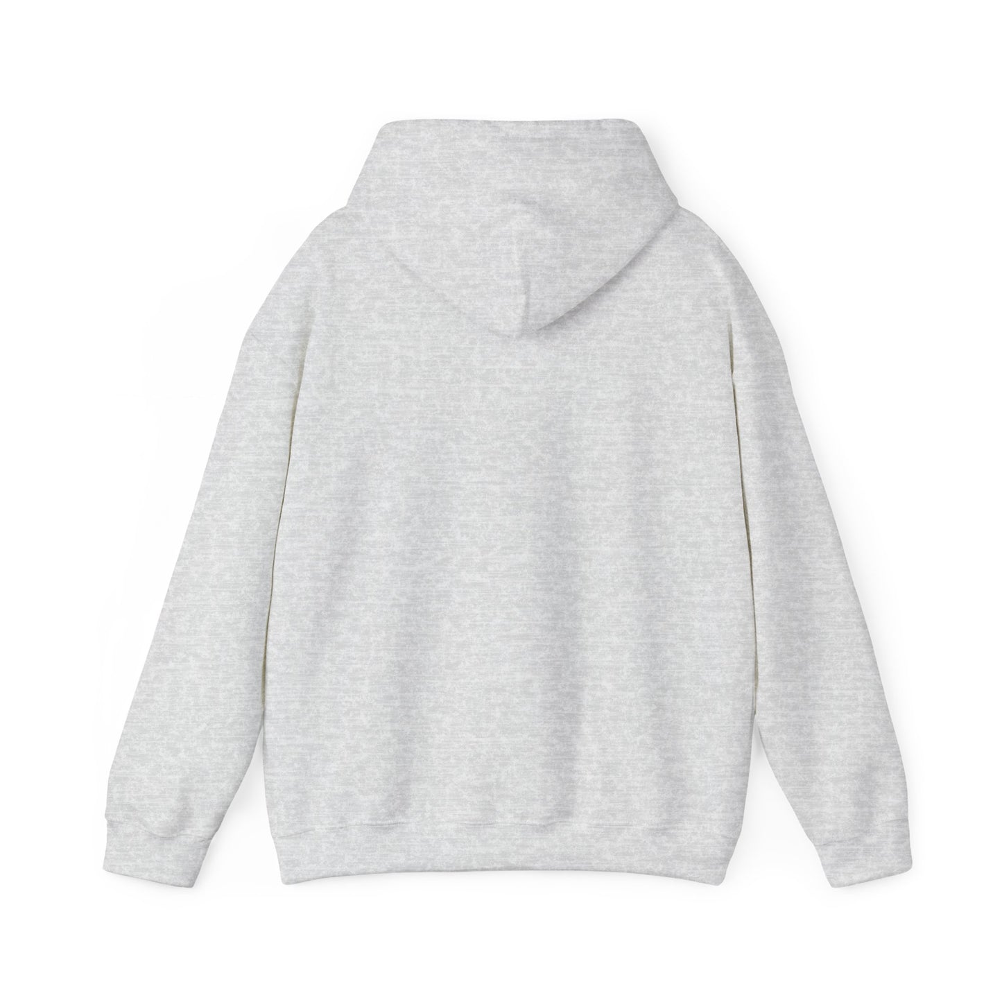 This Is My House Patriotic Hooded Sweatshirt