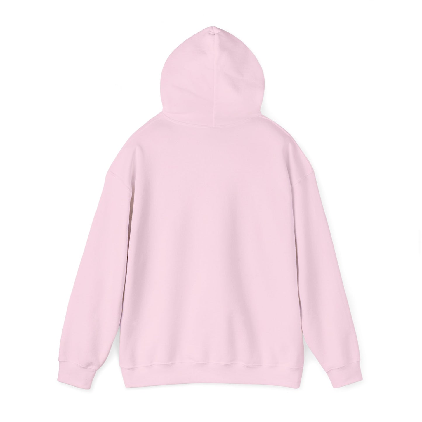 This Is My House Patriotic Hooded Sweatshirt