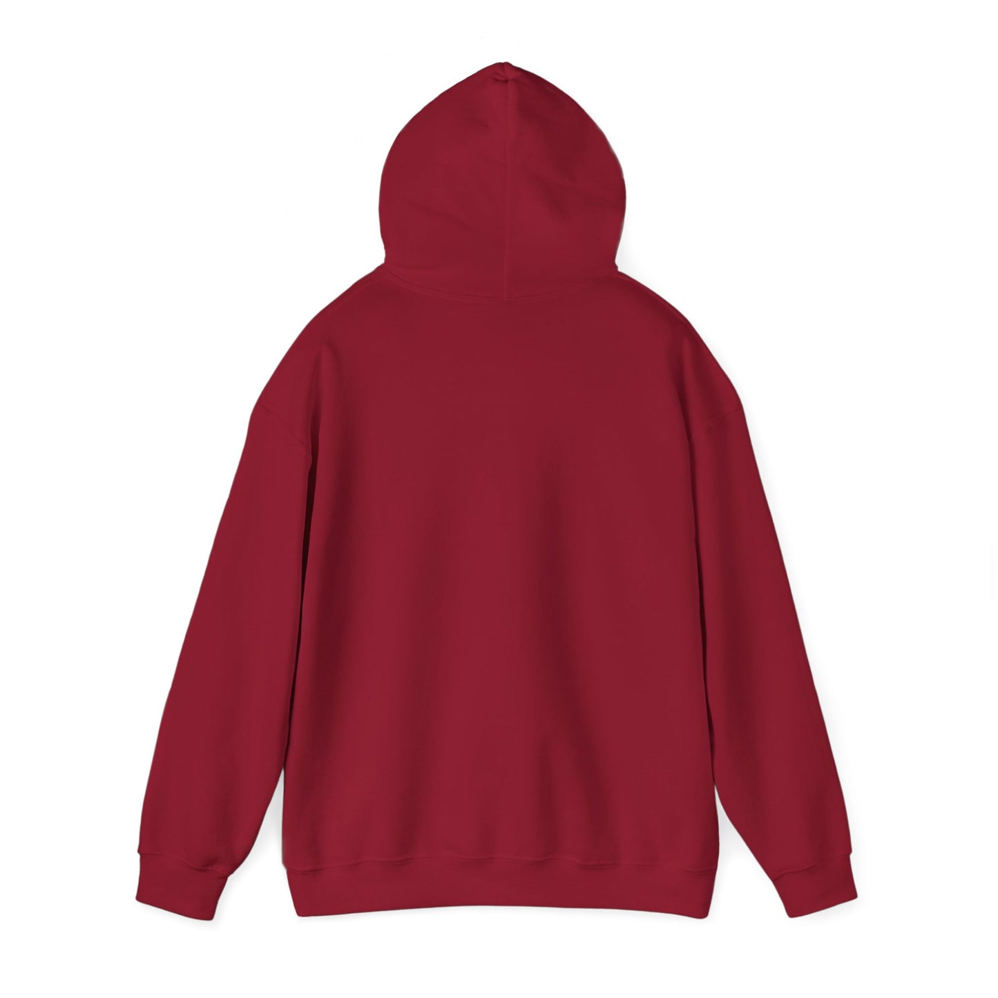 Democ-Rat Funny Political Hoodie