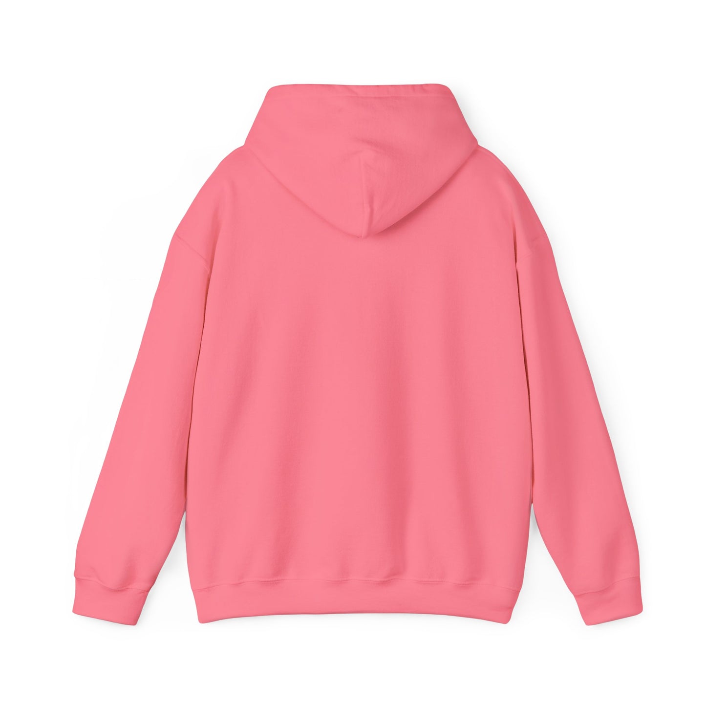Democ-Rat Funny Political Hoodie