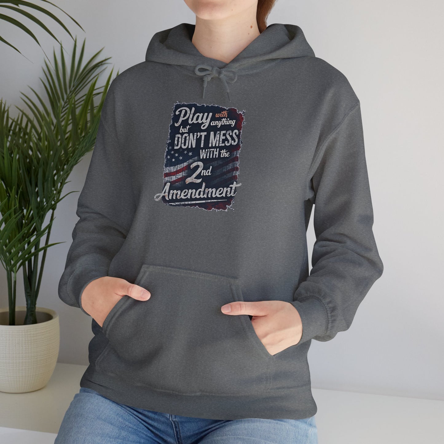Don't Mess with the 2nd Amendment Patriotic Hoodie