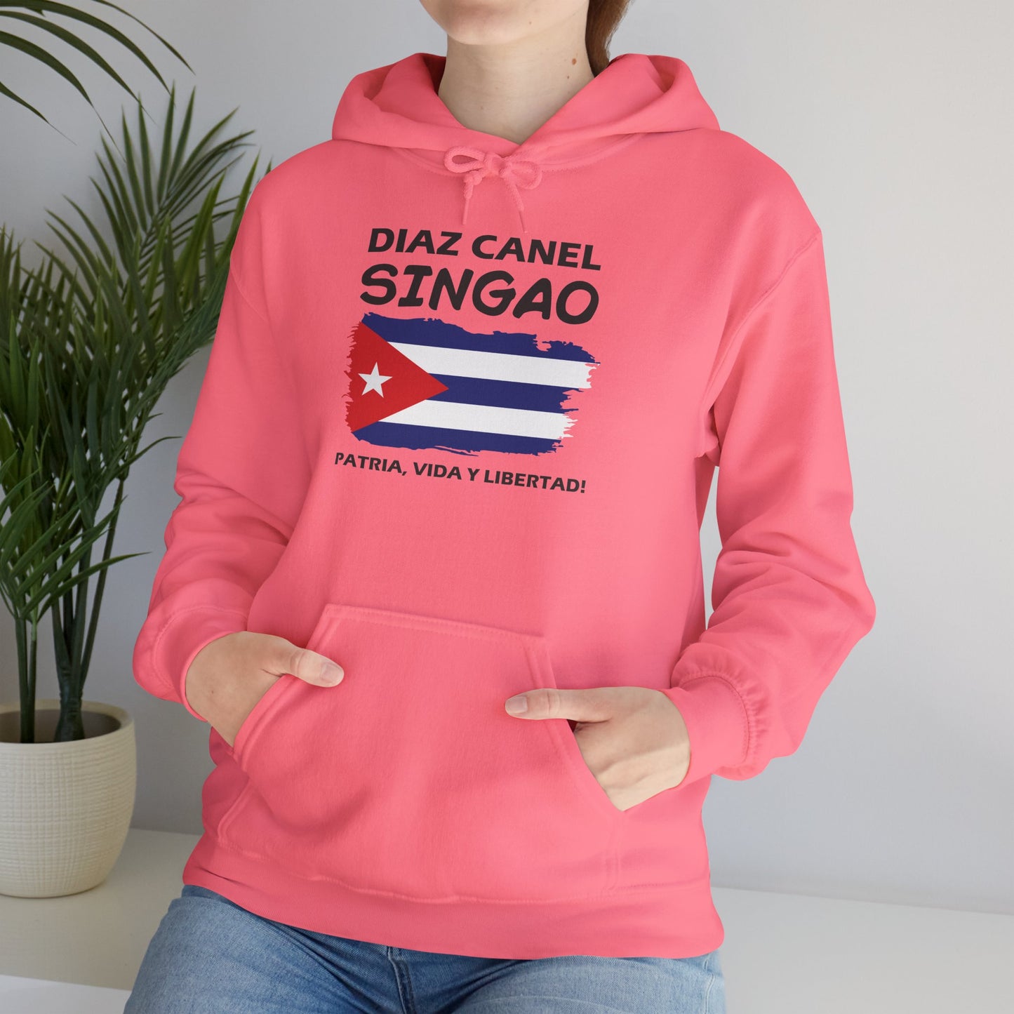 Díaz Canel Singao Patriótico Hoodie