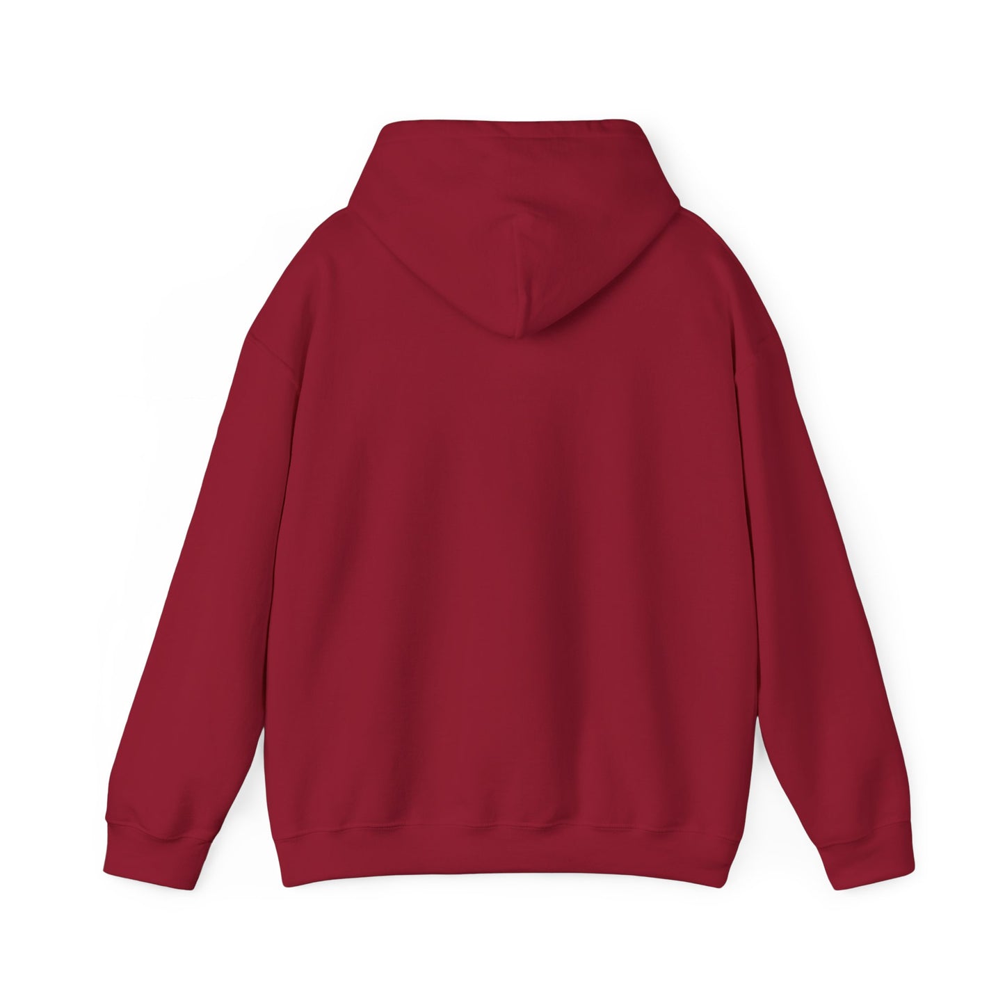 This Is My House Patriotic Hooded Sweatshirt
