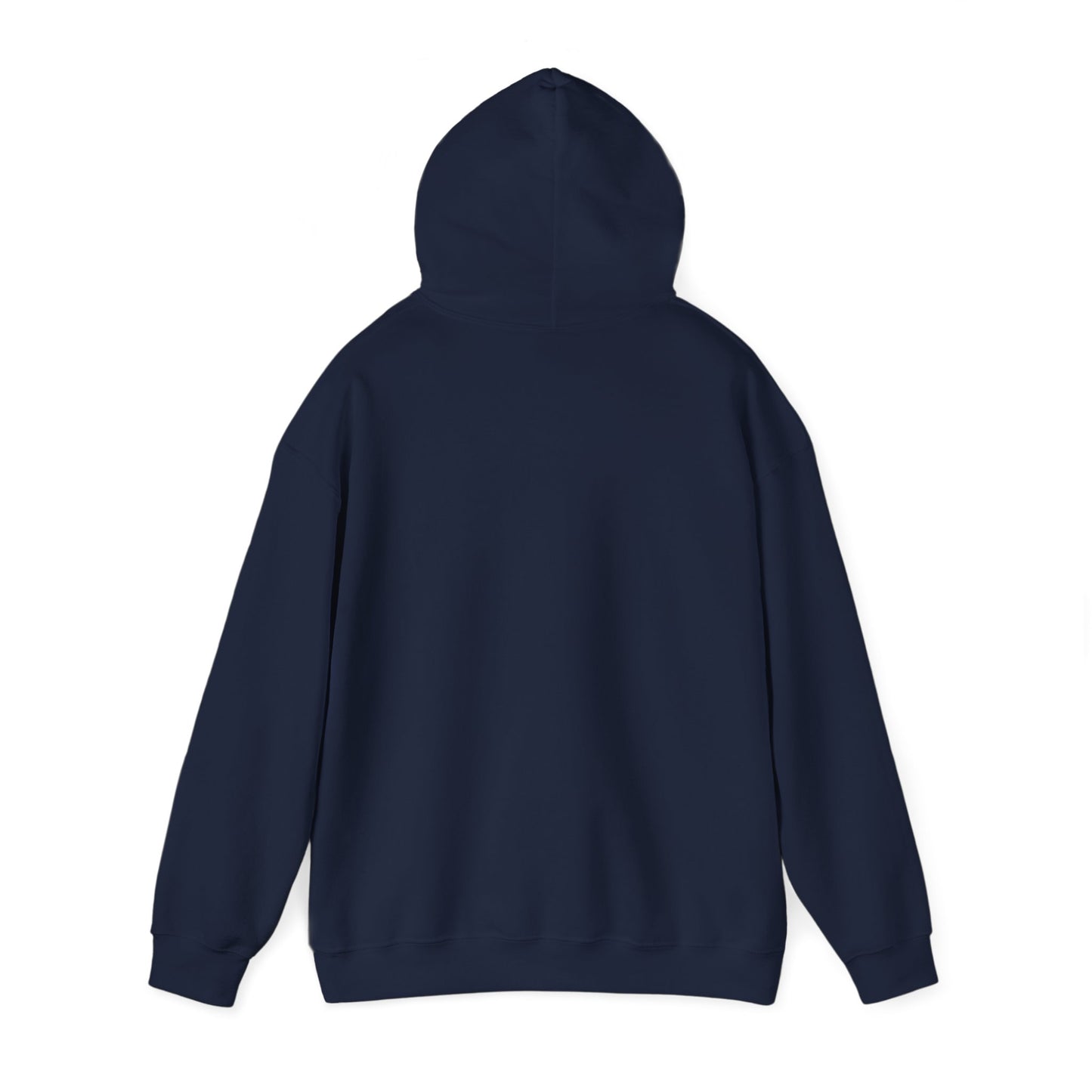 This Is My House Patriotic Hooded Sweatshirt