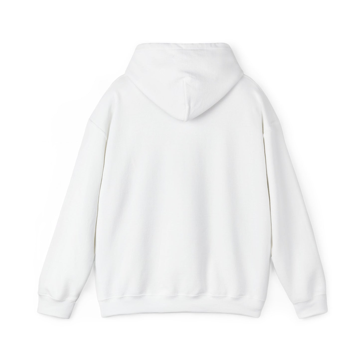 This Is My House Patriotic Hooded Sweatshirt