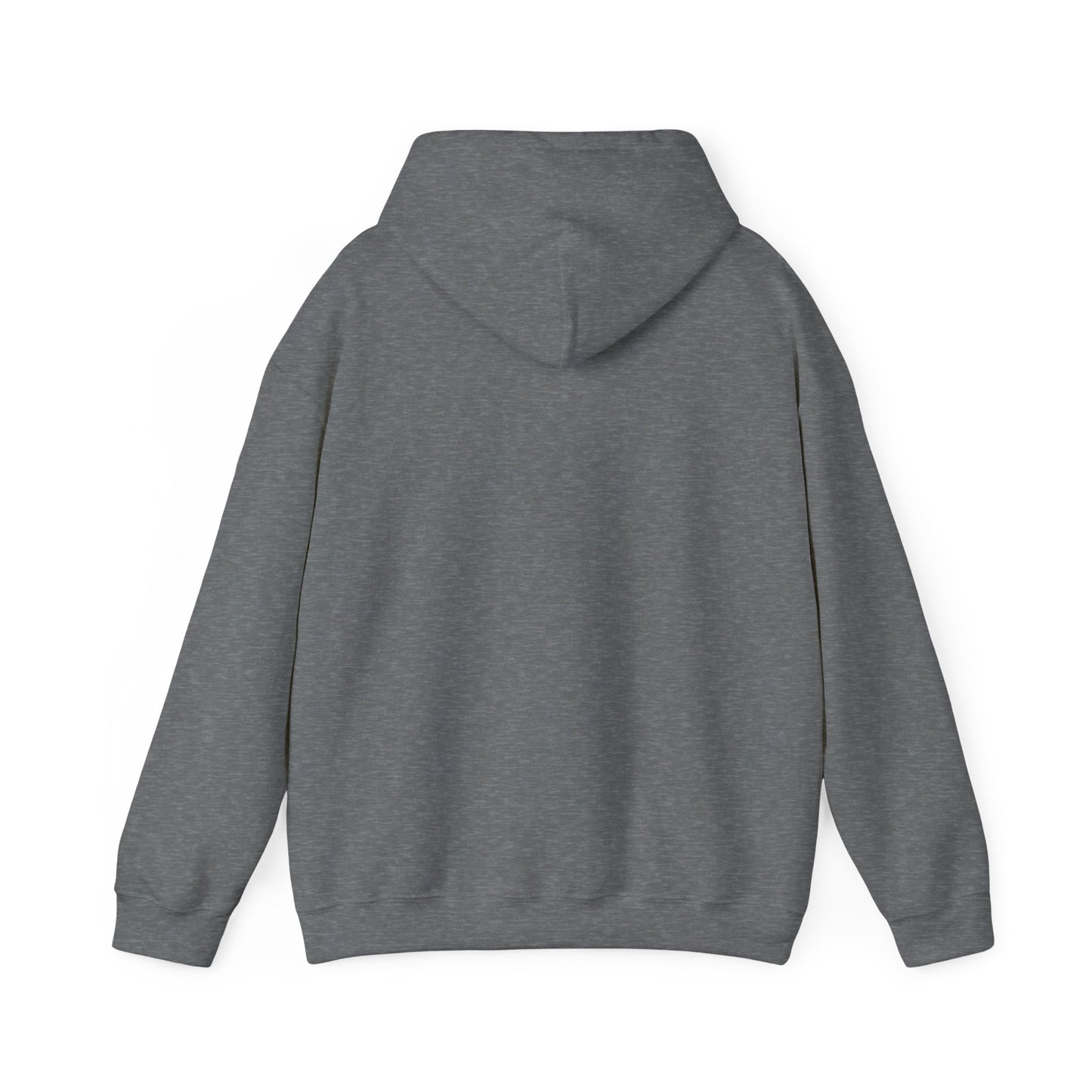 This Is My House Patriotic Hooded Sweatshirt