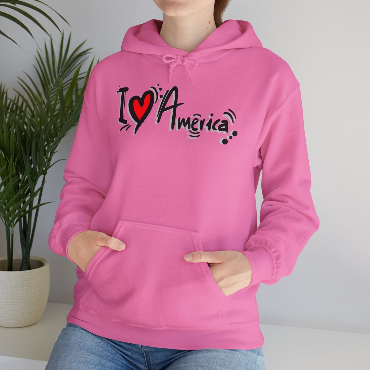 I Love America Unisex Hoodie Sweatshirt