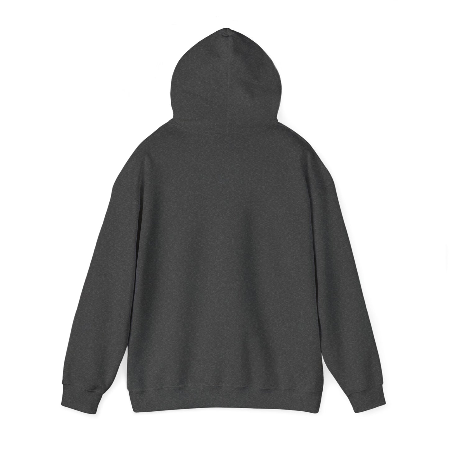 Democ-Rat Funny Political Hoodie