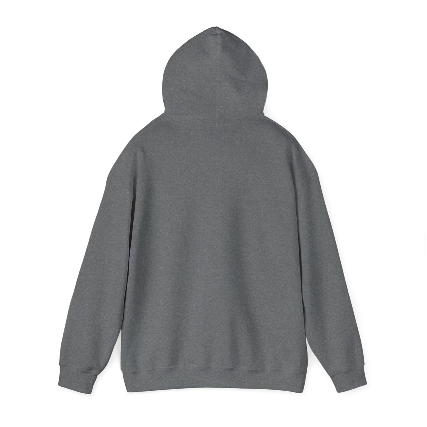This Is My House Patriotic Hooded Sweatshirt