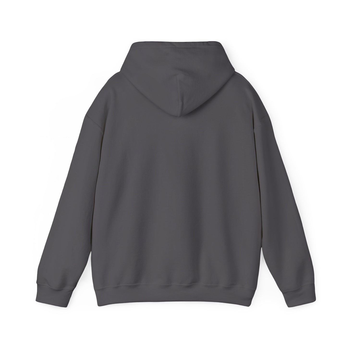 This Is My House Patriotic Hooded Sweatshirt