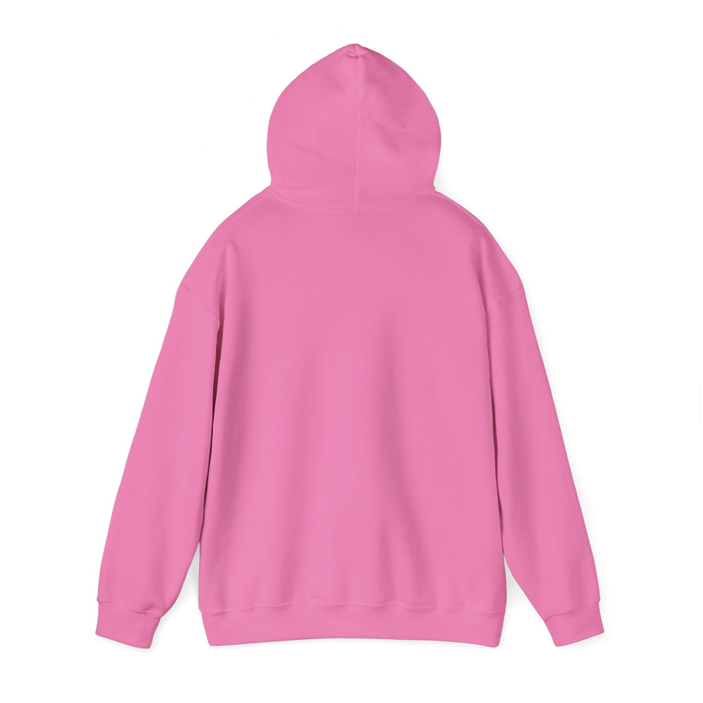 Democ-Rat Funny Political Hoodie