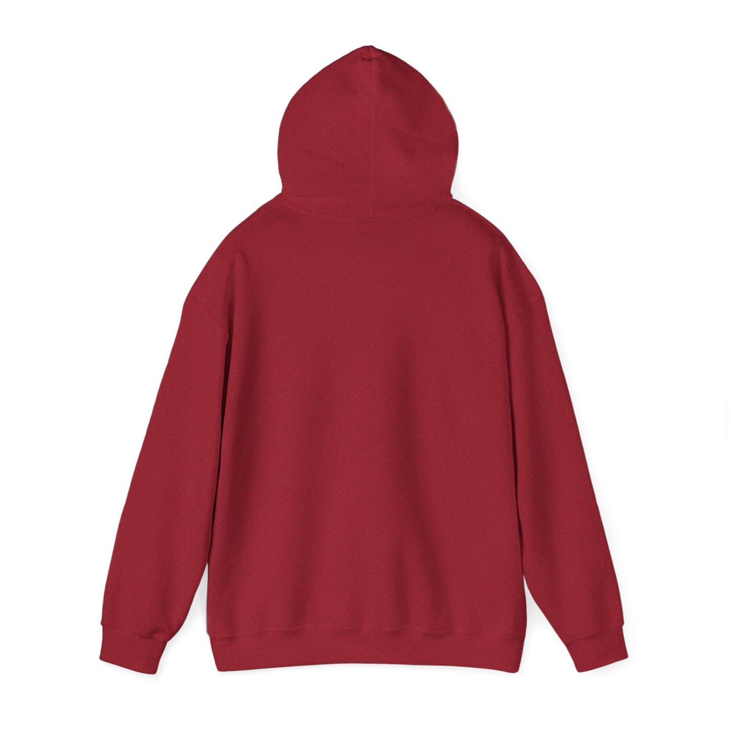This Is My House Patriotic Hooded Sweatshirt