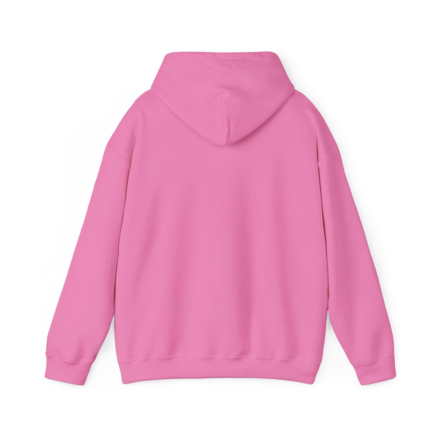 Democ-Rat Funny Political Hoodie