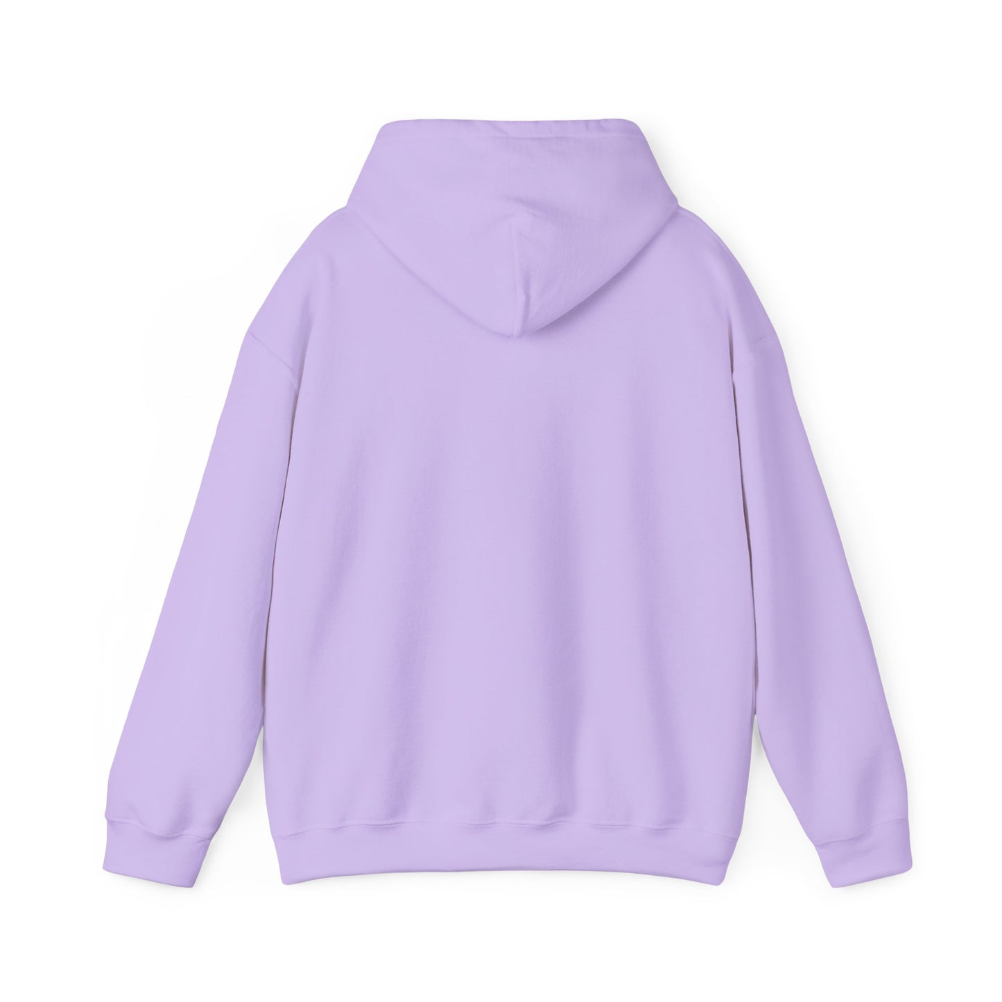 This Is My House Patriotic Hooded Sweatshirt